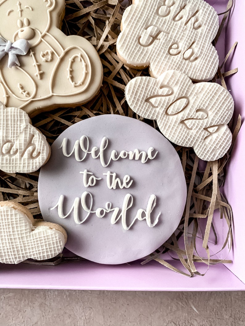 May include: A set of four decorated cookies in a purple box with brown shredded paper. The cookies are decorated with a teddy bear, a cloud with the text "8th Feb 2022", a cloud with a textured pattern, and a purple cookie with the text "Welcome to the World".