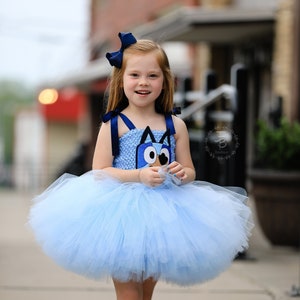 Bluey Tutu Dress, Bluey Girls Costume, Bluey Tutu Dress, Bluey and Bingo