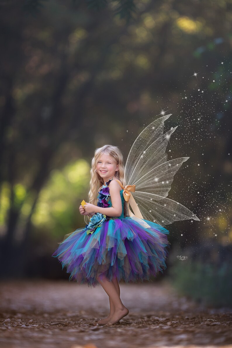 Fairy Peacock Tutu Dress main image 0
