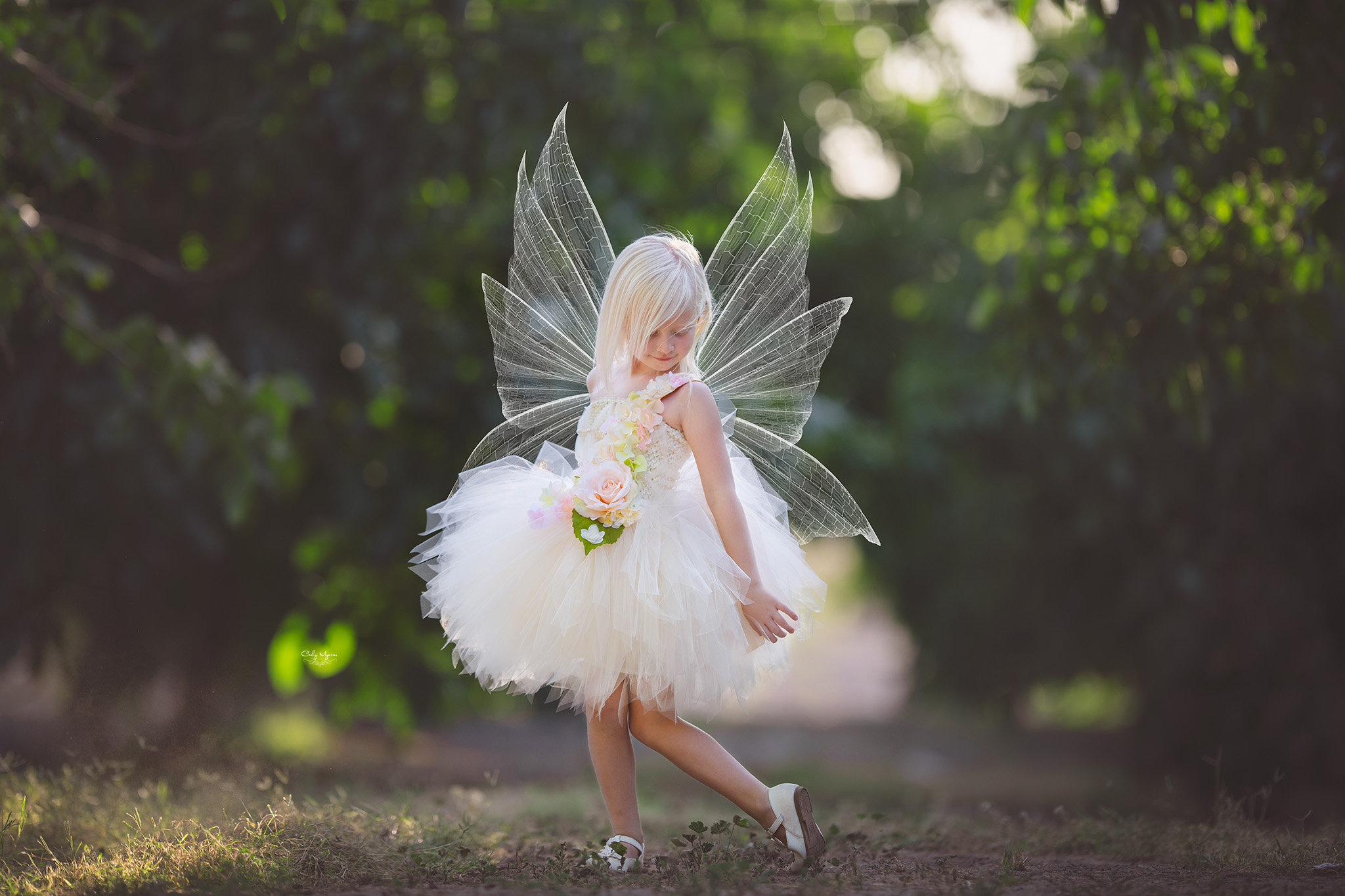 Girls Fairy Costume Etsy
