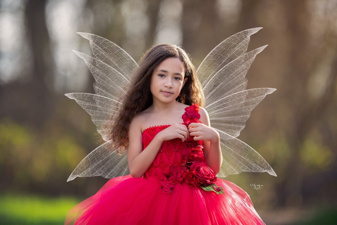 Red Tutu Dress, Fairy Tutu Dress, Tutu Dress, Fairy Dress, Fairy Costume -  Etsy
