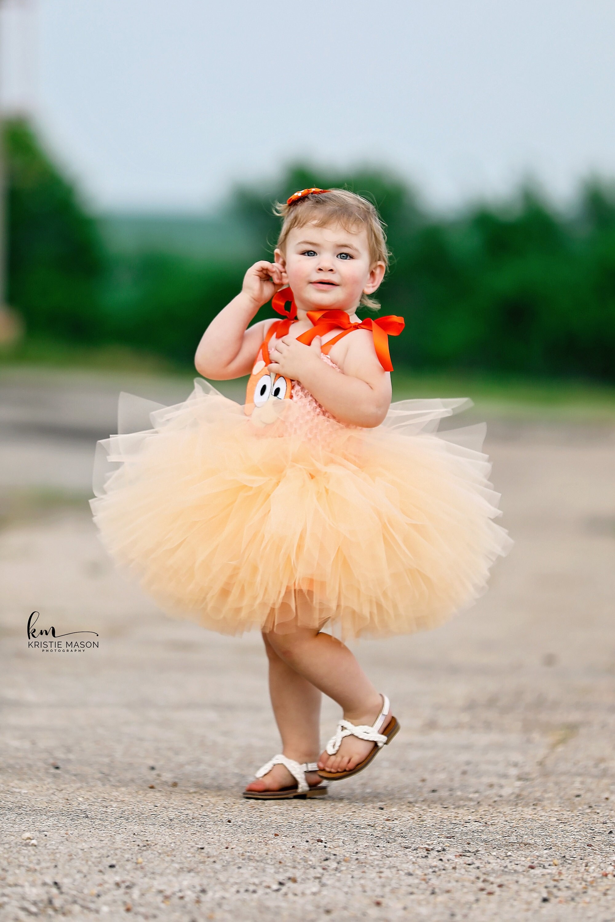 bingo birthday dress The Bluey Heirloom Birthday Dress
