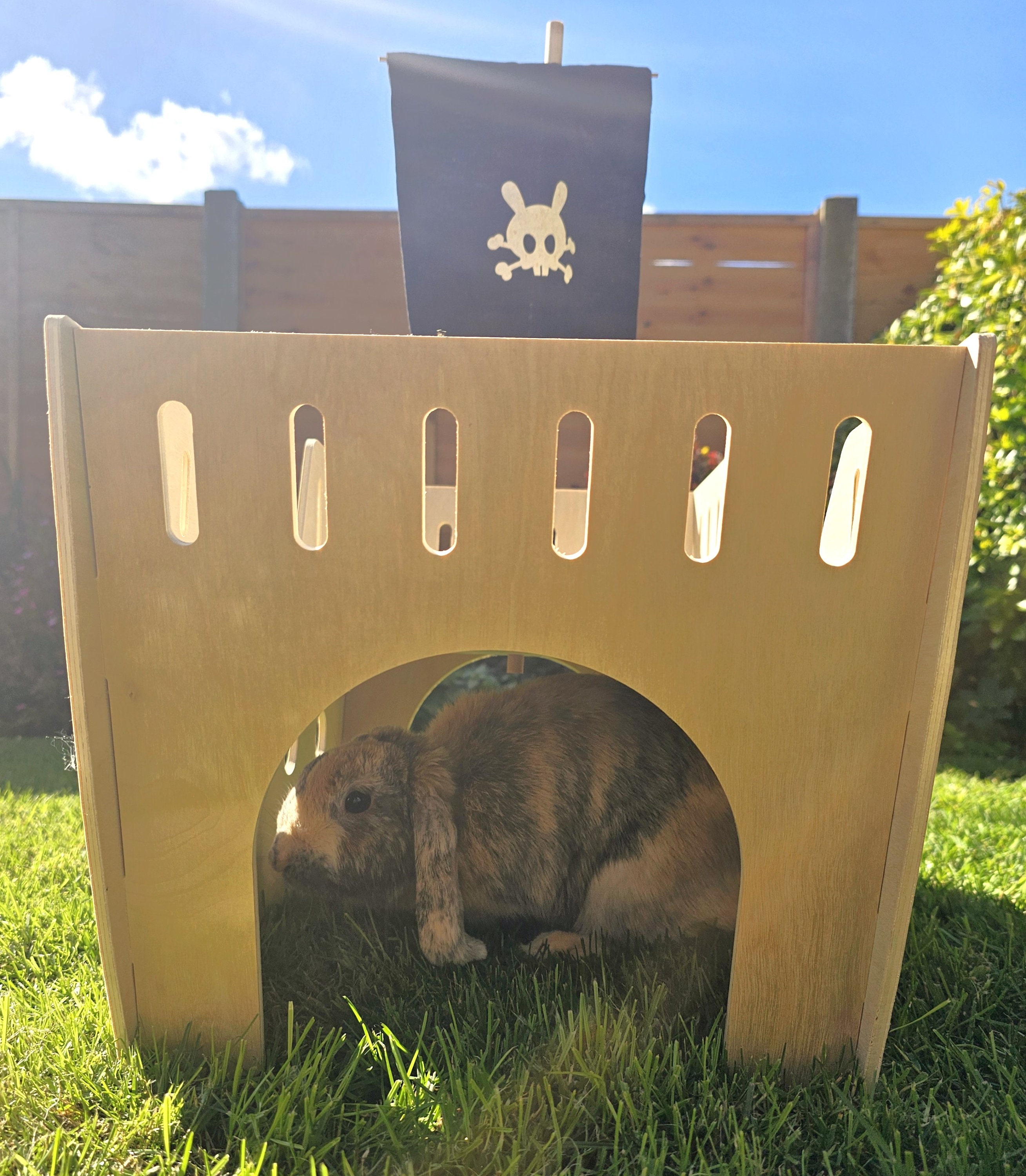 Pawsome Pods Rabbit, Guinea Pig, Small Pet Bed Pirate Ship Hideaway ...