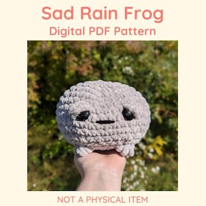 Sad Grumpy Rain Frog Crochet Amigurumi Pattern Pdf File // NOT PHYSICAL ITEM