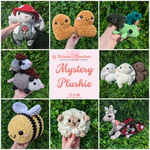 Crochet Plushie Mystery Bag Box / Surprise Plush / Handmade Amigurumi Stuffed Animal