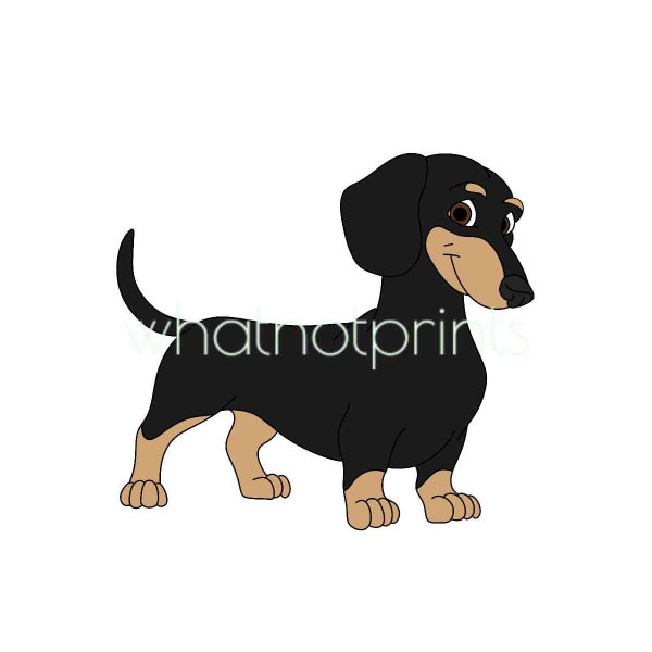 Commercial Dachshund Black And Tan
