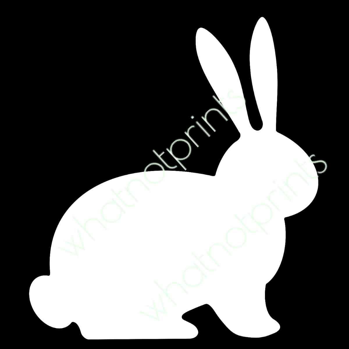 Sitting Bunny Rabbit Outline PNG Transparent & White Backgrounds - Etsy