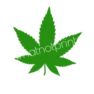 Commercial Green Marijuana Leaf PNG Transparent Background High Resolution Instant Digital Download