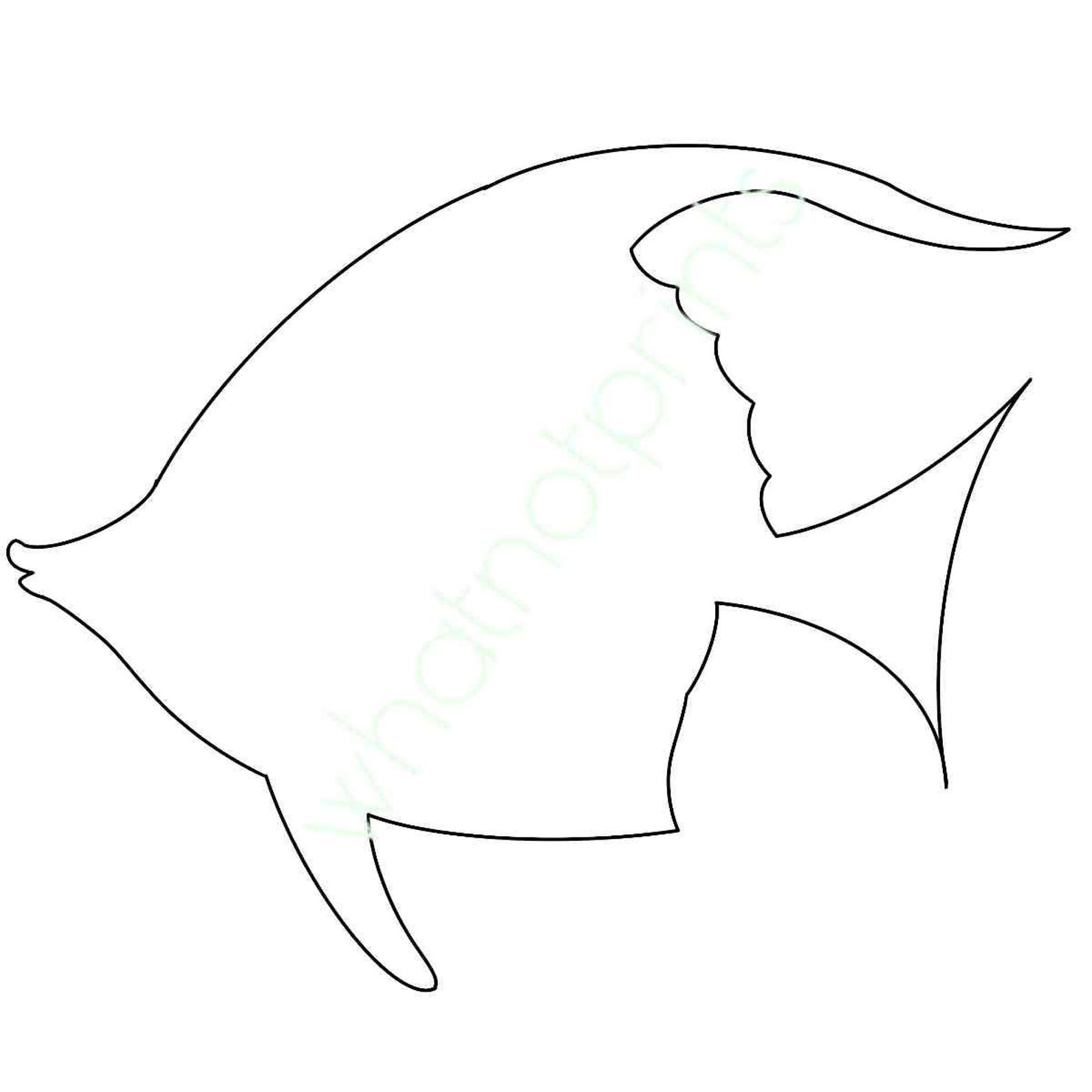 Commercial Tropical Fish Outline, Pattern, Template, or Stencil PNG ...