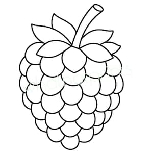 Hallon- eller björnbärskontur PNG
