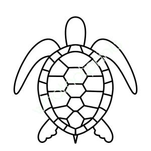 Commerciële zeeschildpad omtrek, vorm, patroon, silhouet, sjabloon, stencil, png en SVG Transparante achtergrond direct digitaal downloaden