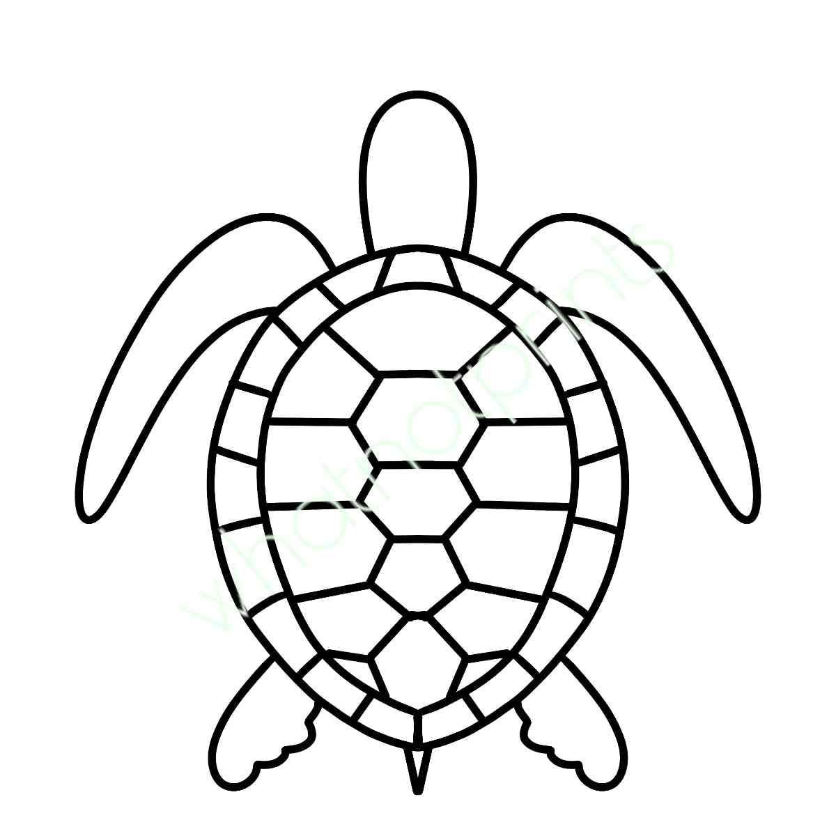 sea-turtle-outline-commercial-use-stencil-svg-png-digital-download