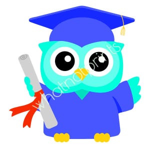Coruja Turquesa Comercial Com Boné e Beca de Formatura Segurando Um Diploma PNG Clipart Fundo Transparente Download Digital Instantâneo