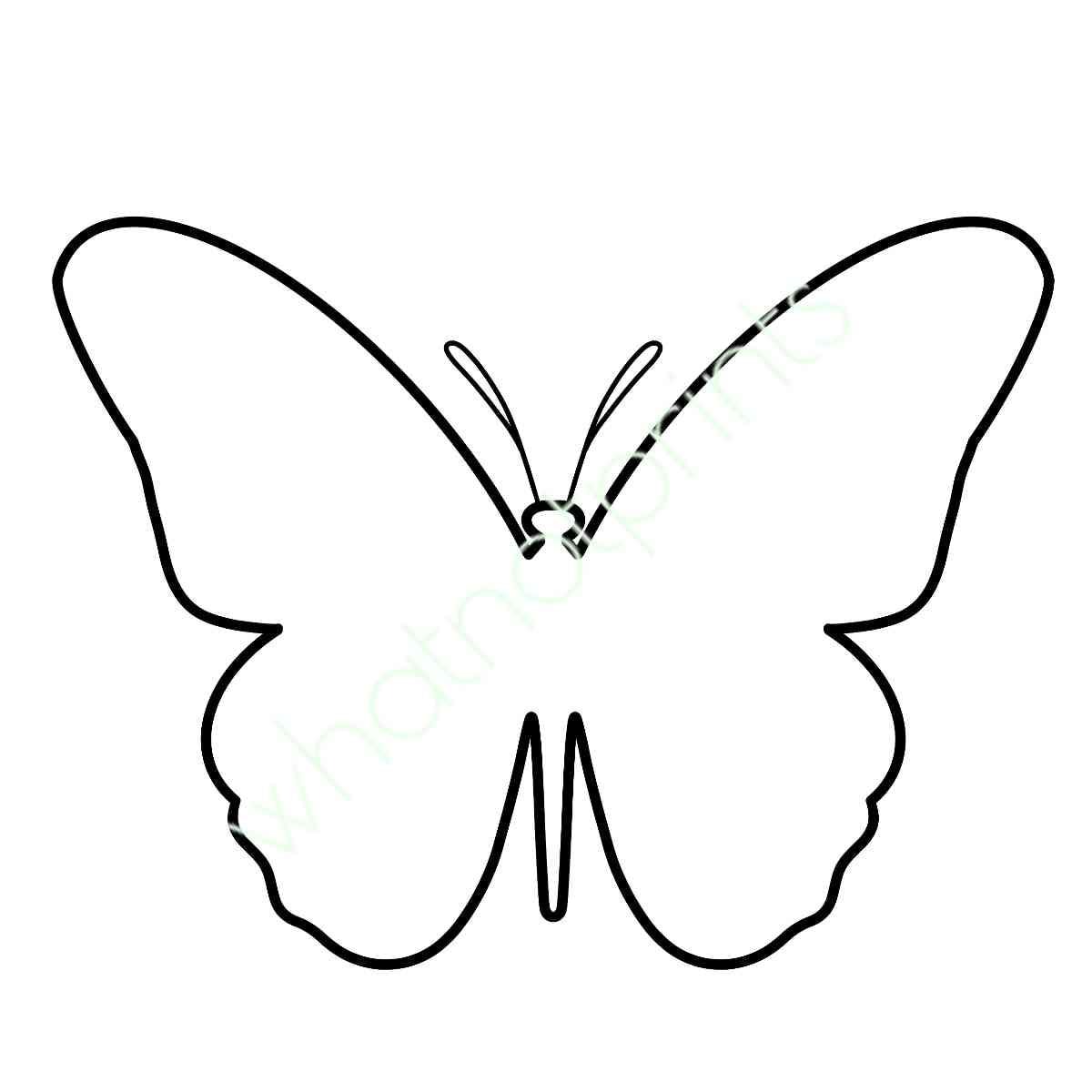 Commercial Butterfly Pattern, Outline, Template, Stencil, Shape Decorate Your Own PNG & SVG Transparent Background Instant Digital Download