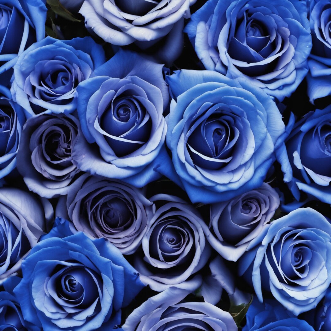 Sapphire Serenade: A Collective of Blue Roses With Subtle Ivory ...