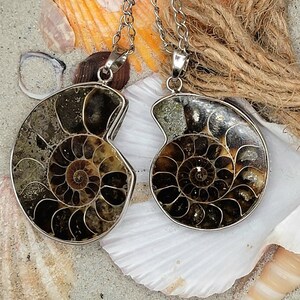 Puede incluir: Un par de collares de plata con colgantes de amonites fosilizadas. Las amonites son de color marrón y negro con un patrón en espiral.