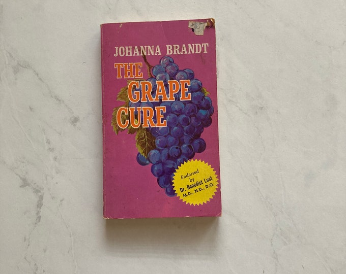 The Grape Cure by Johanna Brandt Vintage Selfhelp Book Etsy