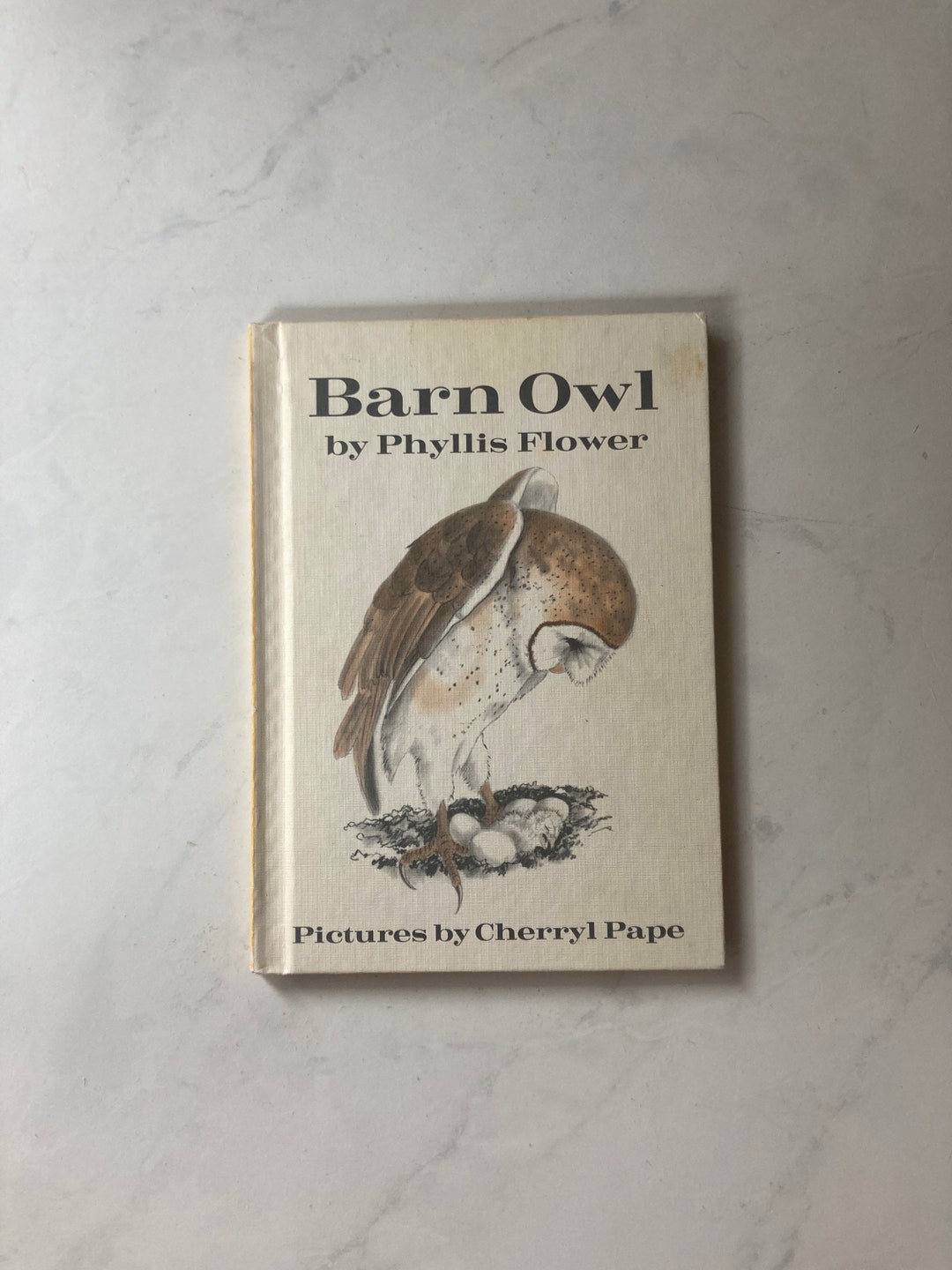 Barn Owl by Phyllis Flower Illustrated by Cheryl Pape Etsy