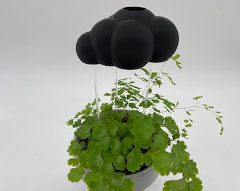 Houseplant Watering Cloud - Black