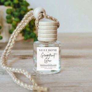 Hanging Diffuser | Car Diffuser | Air Freshener | Car Accessory | Car Freshie | Mystery Scent Option