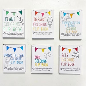 May include: Six colorful mini flip books with different themes: Plant, Dessert, Transportation & Travel, Under the Sea, Bird, and Pets. Each book has a title, a small illustration, and the text "Crazy Beautiful Homeschool American Family Made".