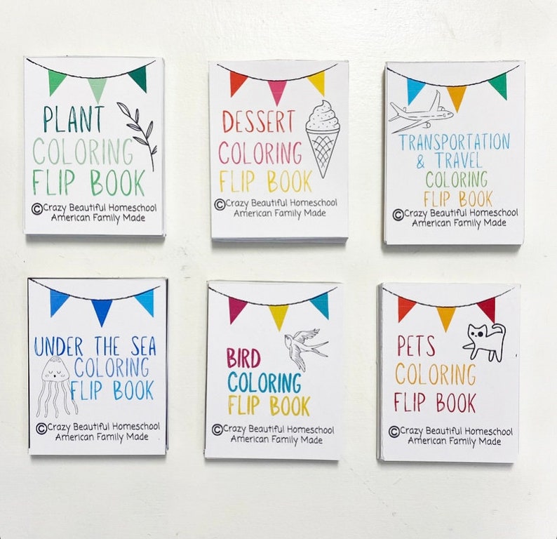 May include: Six colorful mini flip books with different themes: Plant, Dessert, Transportation & Travel, Under the Sea, Bird, and Pets. Each book has a title, a small illustration, and the text "Crazy Beautiful Homeschool American Family Made".