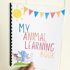 Learning binder for kids, Preschool learning binder, toddler learning physical binder, busy book kindergarten animal learning book