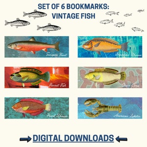 May include: Set of 6 vintage fish bookmarks. Each bookmark features a different fish illustration, including a Sunapee Trout, Brazilian Wrasse, Parrot Fish, Clown Coris, Pearl Wrasse, and an American Lobster. The bookmarks are rectangular with a colorful background.