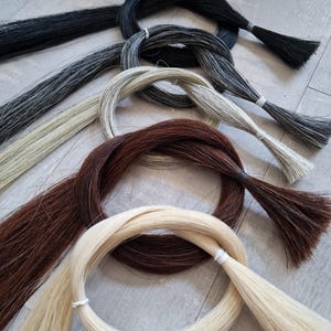 Horsehair horsehair horse horse tailhair tailhair black grey white horsehair tailhair black white chestnut violin violin hair