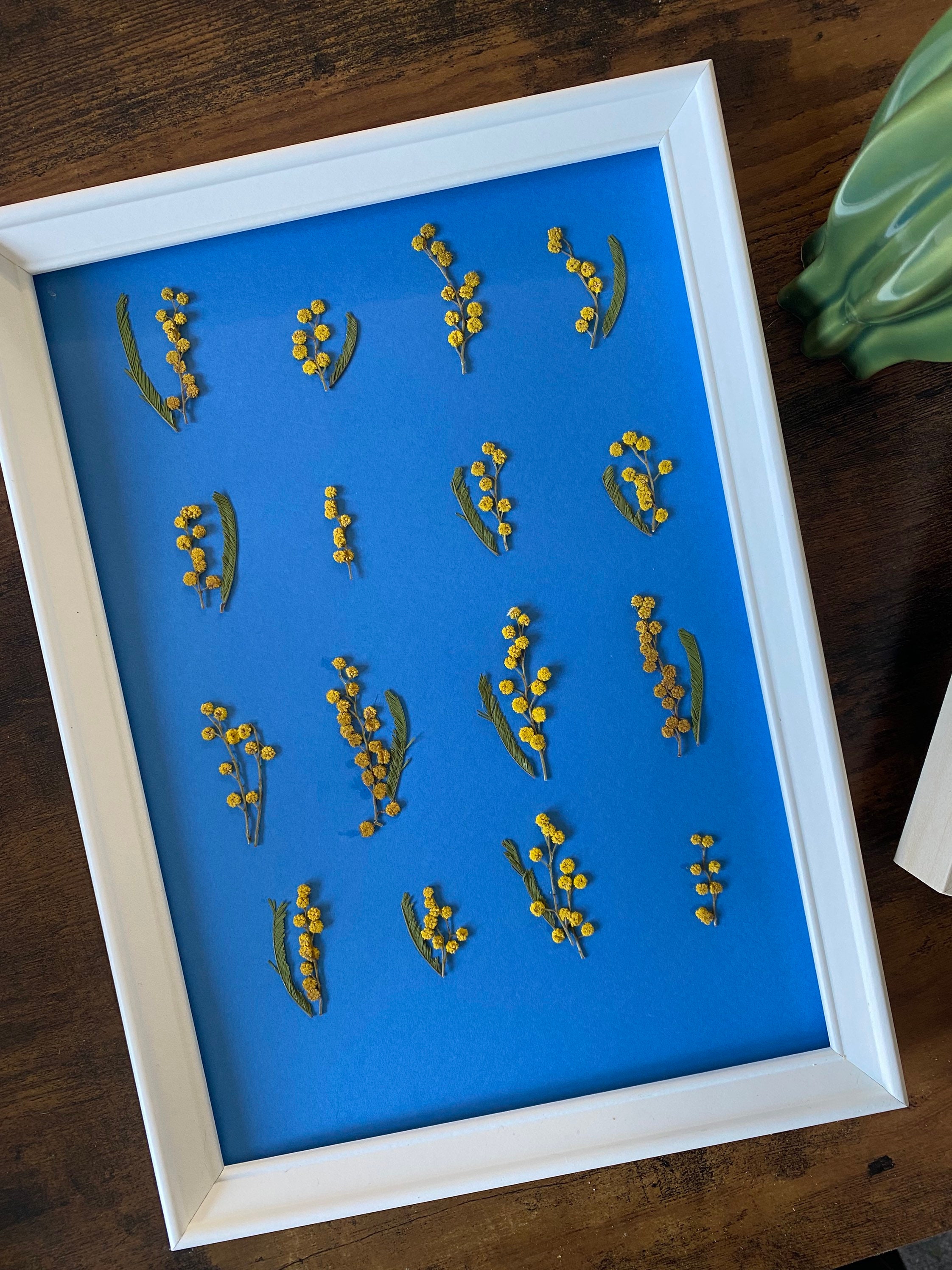 Herbier A4 Unique Sans Cadre