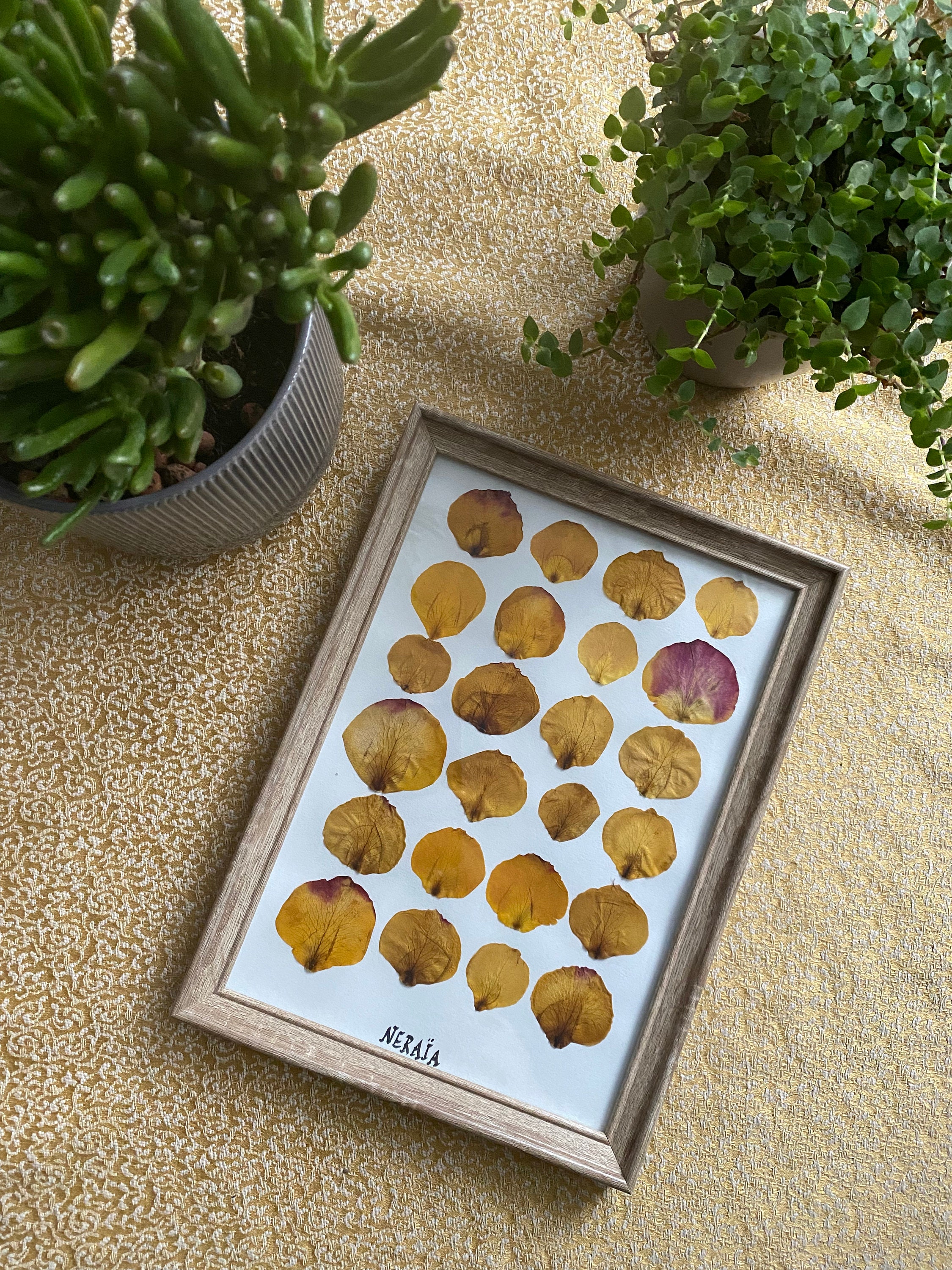 Herbier Roses Jaunes A4