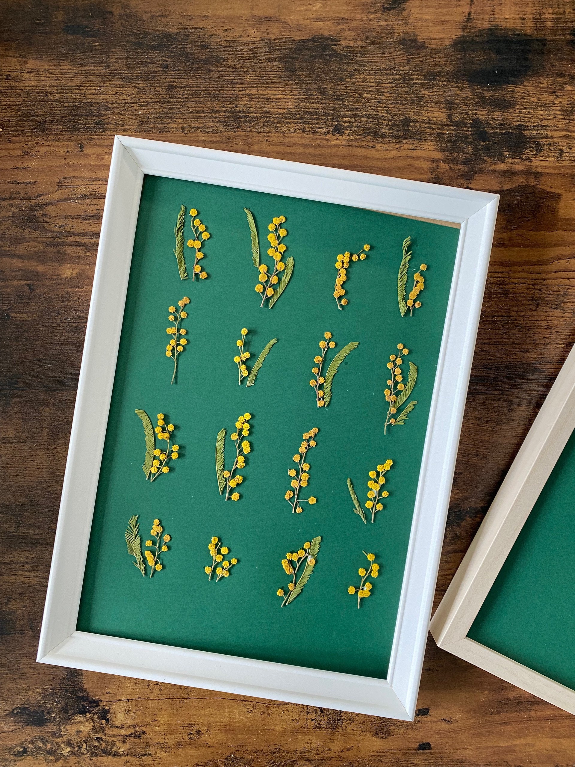 Herbier A4 Unique Sans Cadre