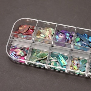 Natural Abalone Sea Shells for Nails