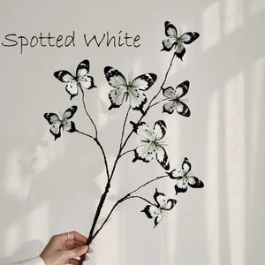May include: A decorative branch with several white butterflies, each with black spots and edges. The butterflies are attached to thin, dark brown stems. The words "Spotted White" are written in cursive at the top left.