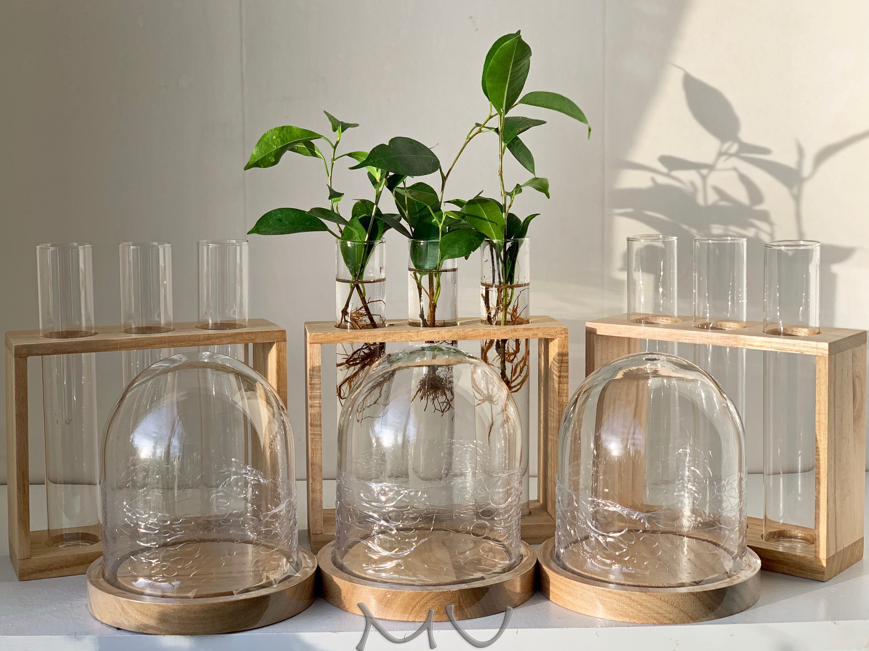 Multi Function CLOCHE PROPAGATION TUBES You Choose wood Etsy