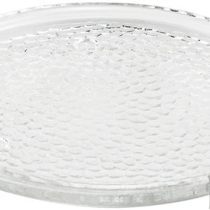 May include: A clear glass plate with a textured surface. The plate has a raised, circular design.