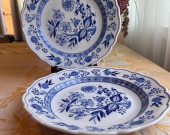 Vintage Blue Onion Plate & Bowl Set | Blue White Porcelain | Cottagecore Farmhouse China Lorenz Hutschenreuther Selb