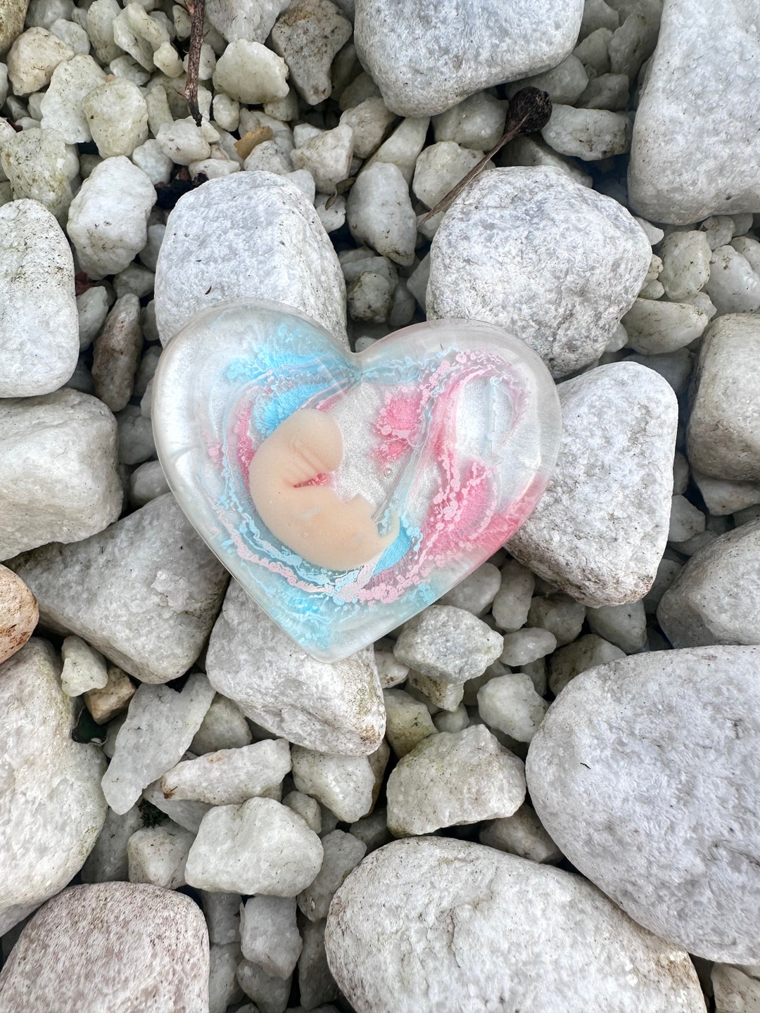 3D Resin Heart 8-10 Week Fetus Baby Loss Keepsake - Etsy