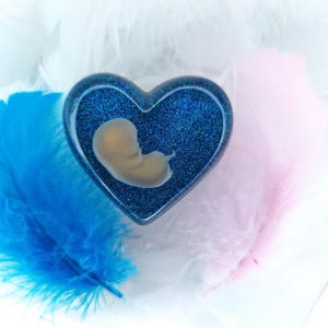 3D Resin Heart | 8-11 Week fetus | Baby loss keepsake