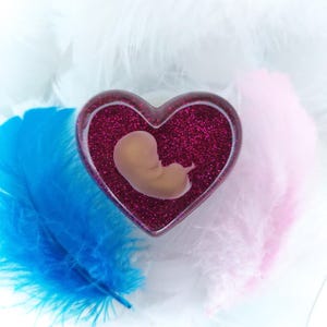 3D Resin Heart | 8-11 Week fetus | Baby loss keepsake