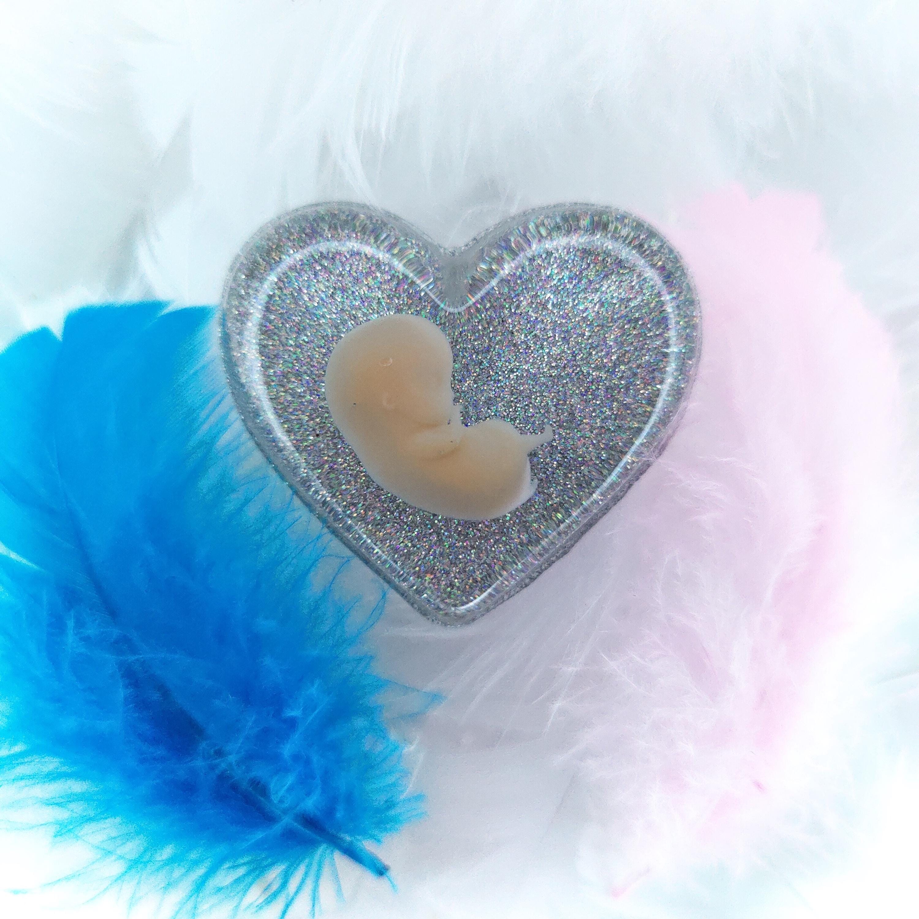 3D Resin Heart | 8-11 Week fetus | Baby loss keepsake