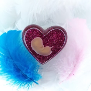 3D Resin Heart | 8-11 Week fetus | Baby loss keepsake