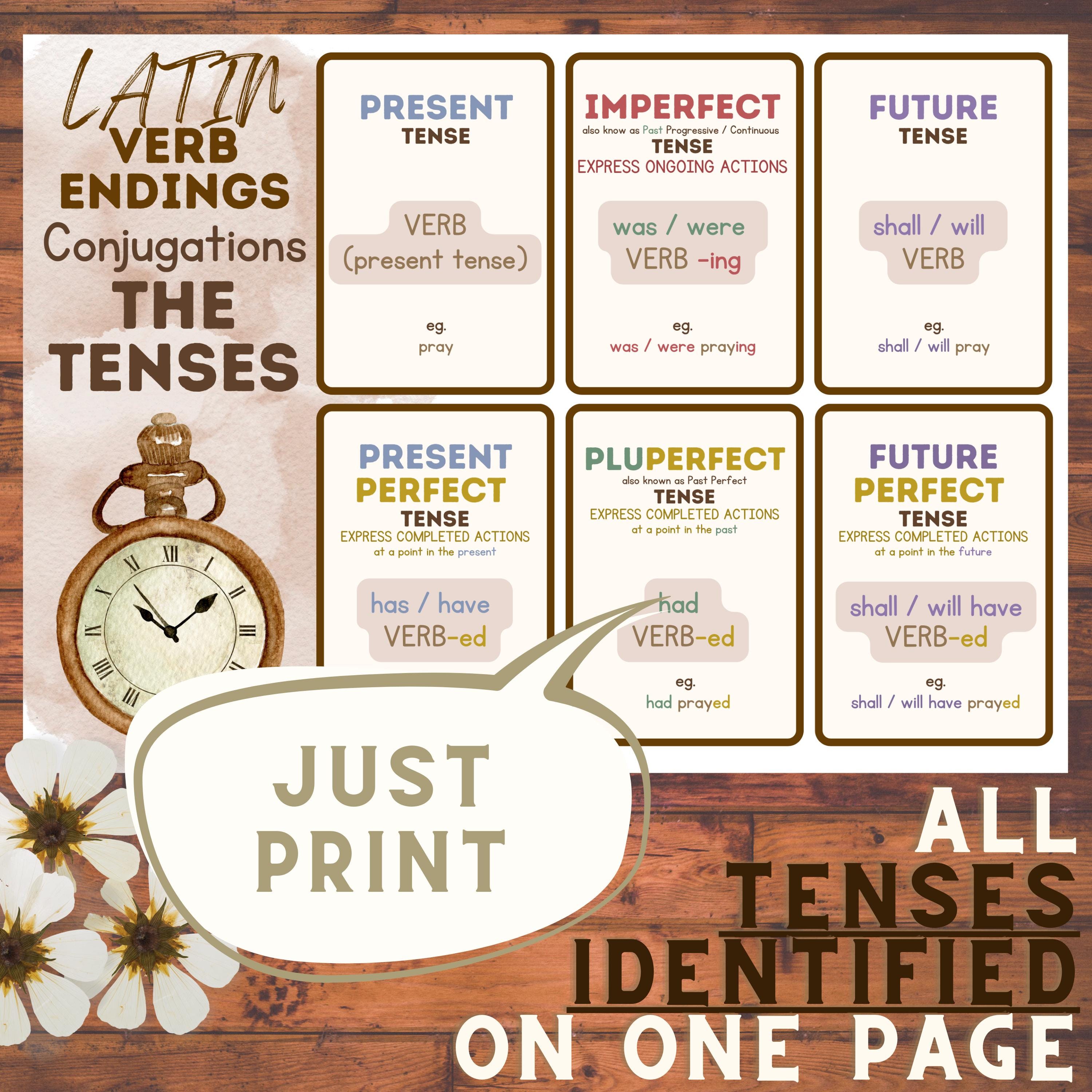 Latin Verb Endings 1st Conjugation FLASHCARDS (printable) (CC Cycle 2 ...