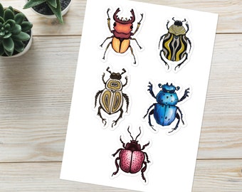 Insect Sticker Sheet - Beetle Art Goblincore Gift - Bugs Vinyl Sticker Pack - Entomology Decals - Set of 5 Beetle Art Laptop Stickers