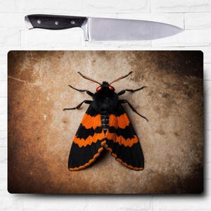 halloween moth cutting board sublimation designs png, cutting board sublimation designs, cutting board designs, cutting board png