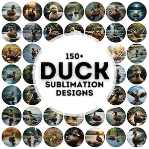 150+ duck coaster sublimation designs png, coaster sublimation design, car coaster design, sublimation design, duck png bundle