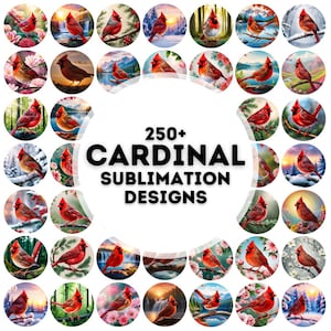 250+ cardinal coaster sublimation designs png, coaster sublimation design, car coaster design, sublimation design, cardinal png bundle