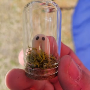 May include: A small glass jar with a cork lid contains a white ceramic ghost with black eyes. The jar is filled with green moss.