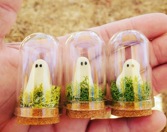 Mini Pet Ghosts in a Jar