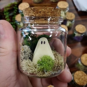 Pet Ghost in Bottle